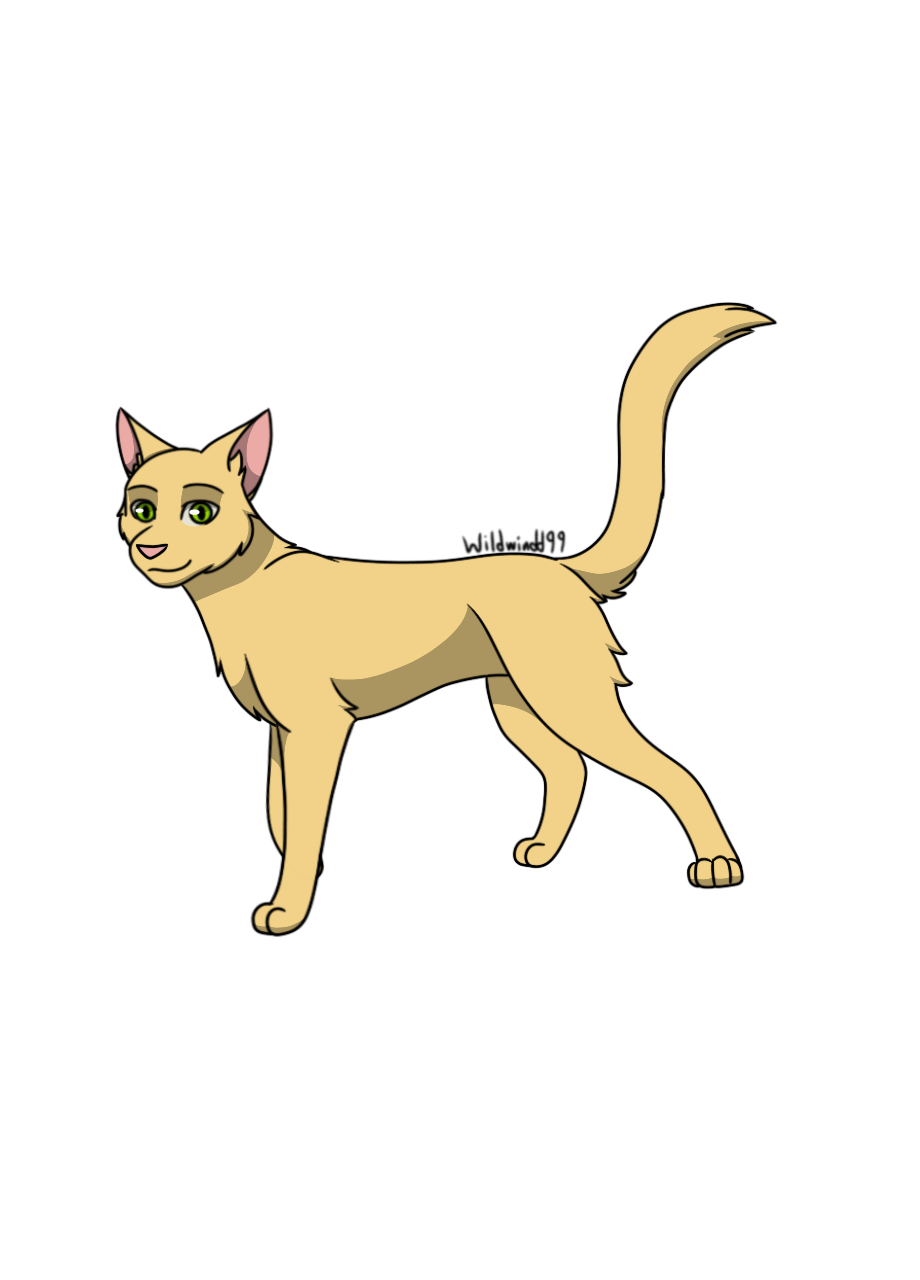 Pixel icons part 1 by splashamantha  Warrior cat, Drawing reference, Warrior  cats