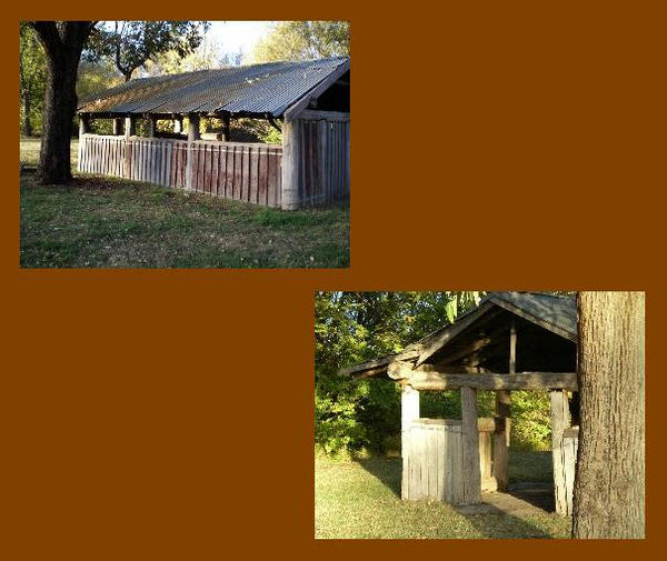 Dnr Rustics Rustic by RainyDingo on DeviantArt