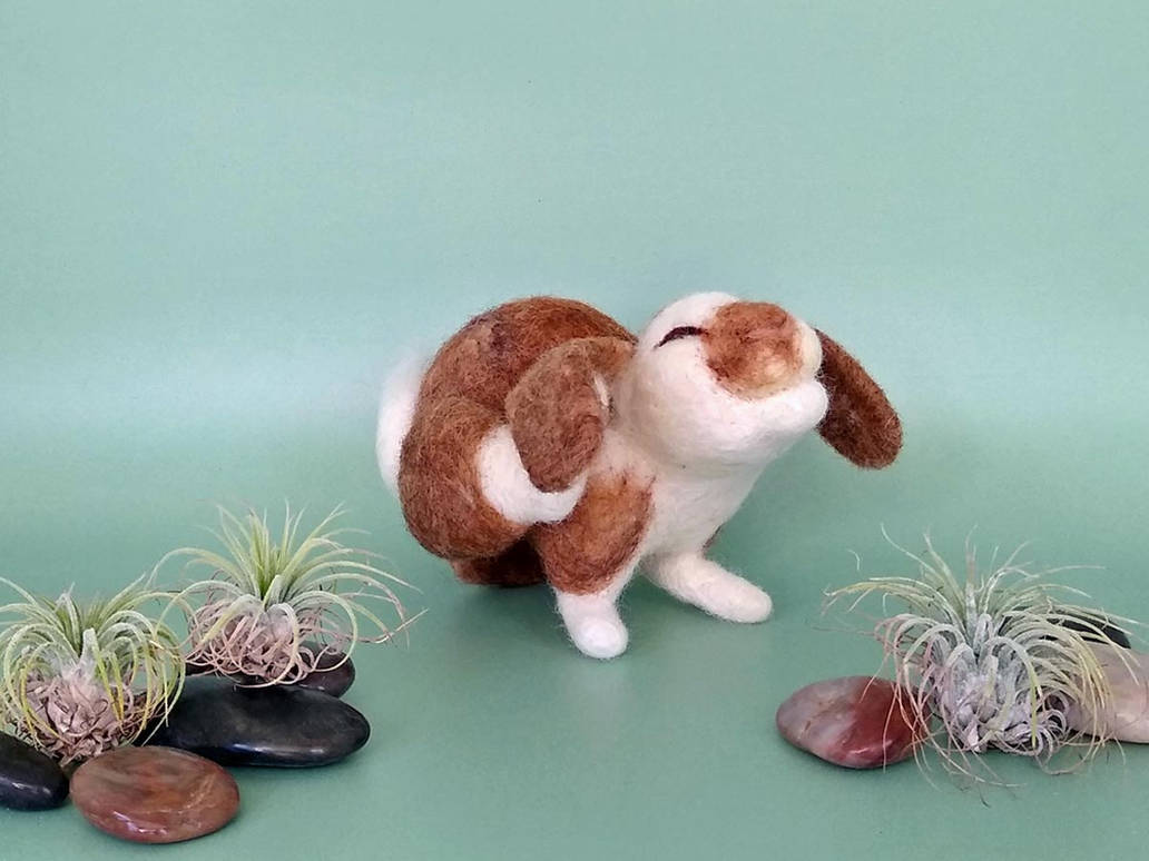 Lop-eared Rabbit by Lobster-Ball on DeviantArt