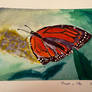 Monarch on Hebe