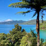 Queen Charlotte Sound