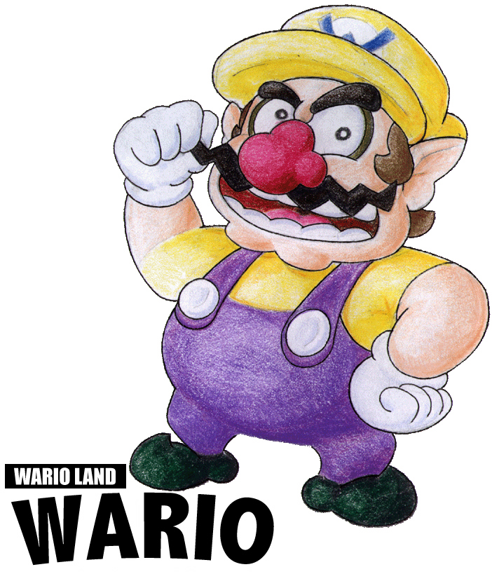 Wario land Wario