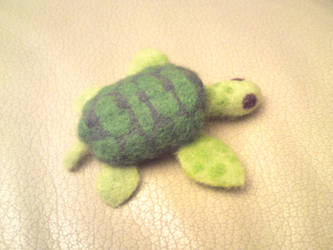 Green turtle