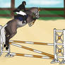 Raddie Showjumping