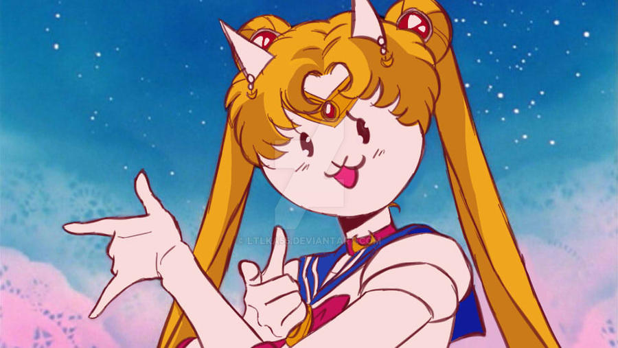 Sailor Moon...the cat by Ltlka55 on DeviantArt