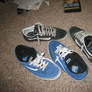 black nd blue vans