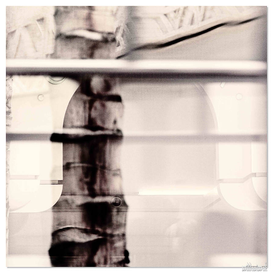 Reflections by MililaniMak Reflections by MililaniMak