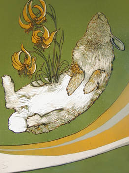 untitled-dead rabbit on green