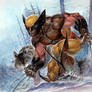 Wolverine