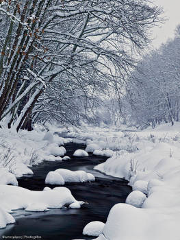 Snowy River