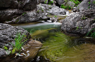 Water Swirls