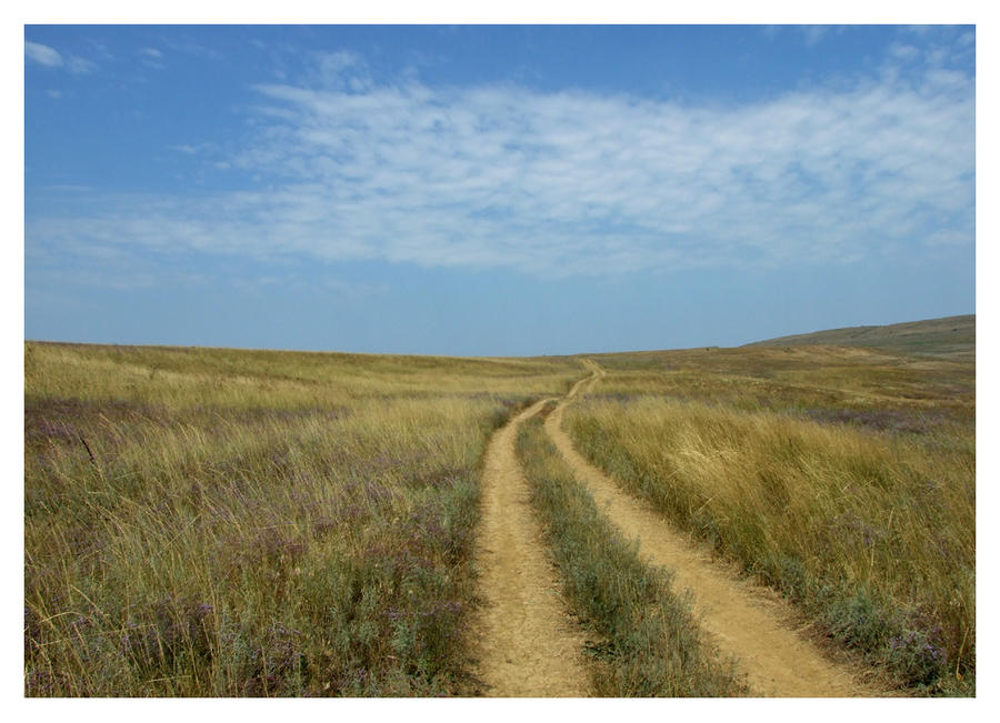 Steppe Highway