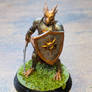 Dragonborn paladin