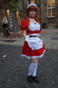 Connichi 2014