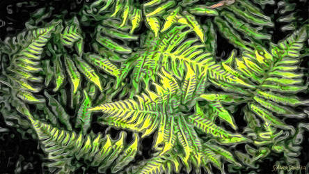 Forest FERNS