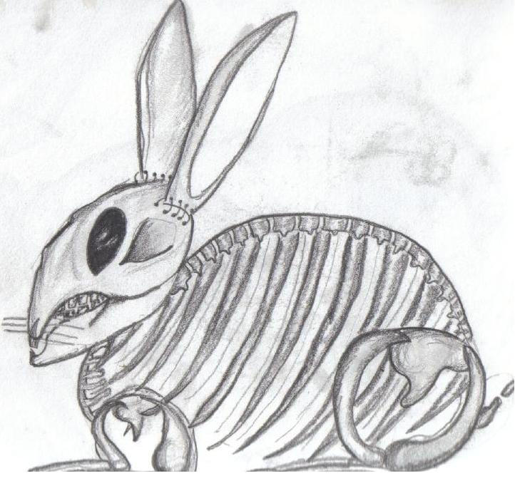 Skeletal Rabbit by memento-mori-013 on DeviantArt