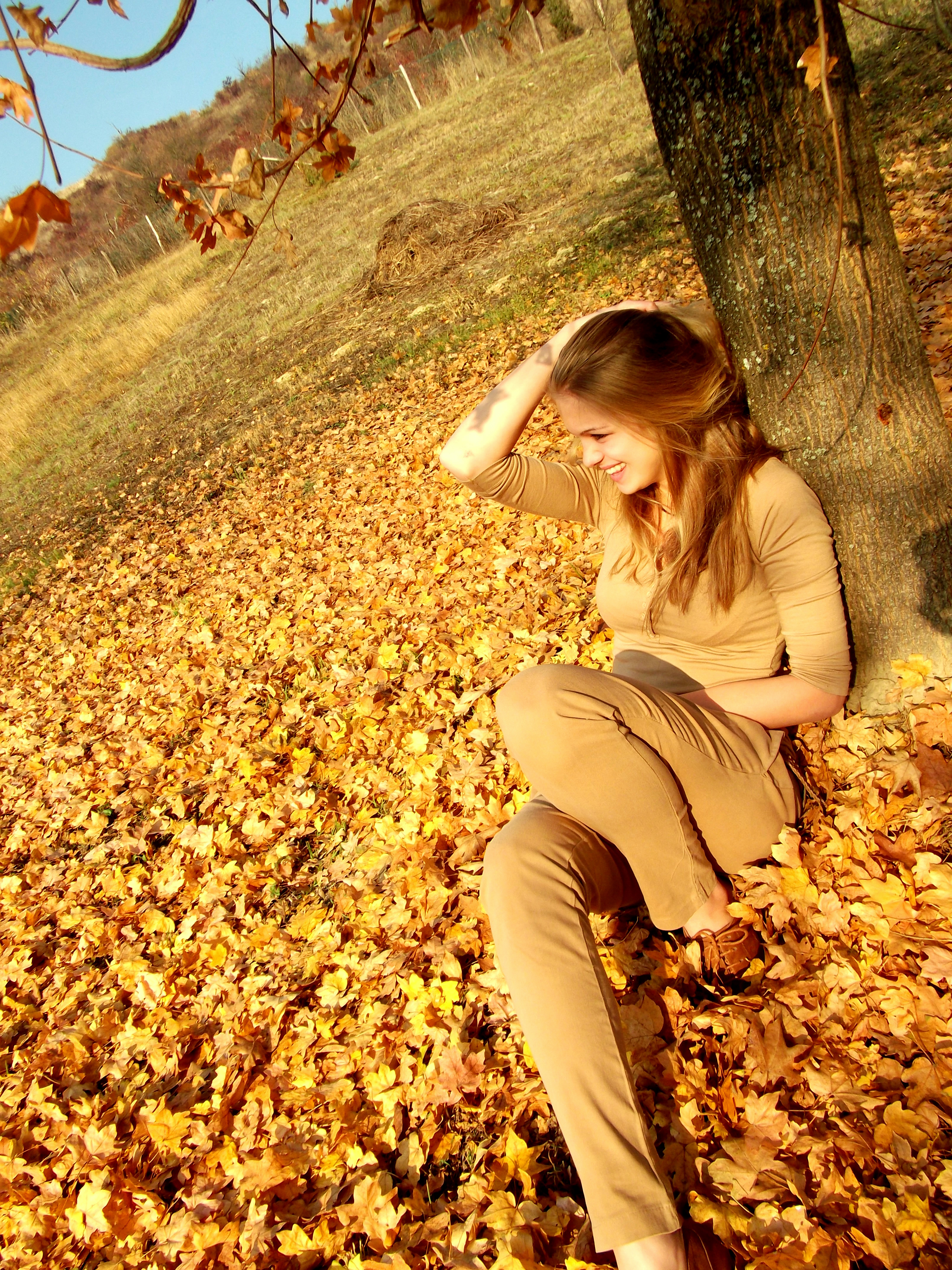 Under a tree