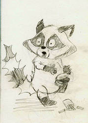 Spooked Racoon