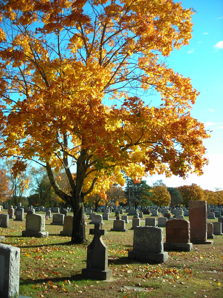 Fall Graves