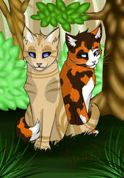 Poppyfrost and Honeyfern