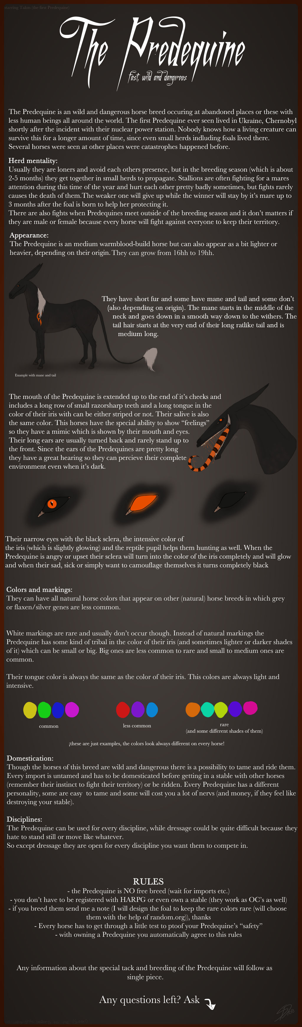 The Predequine - Breedsheet by Saerl