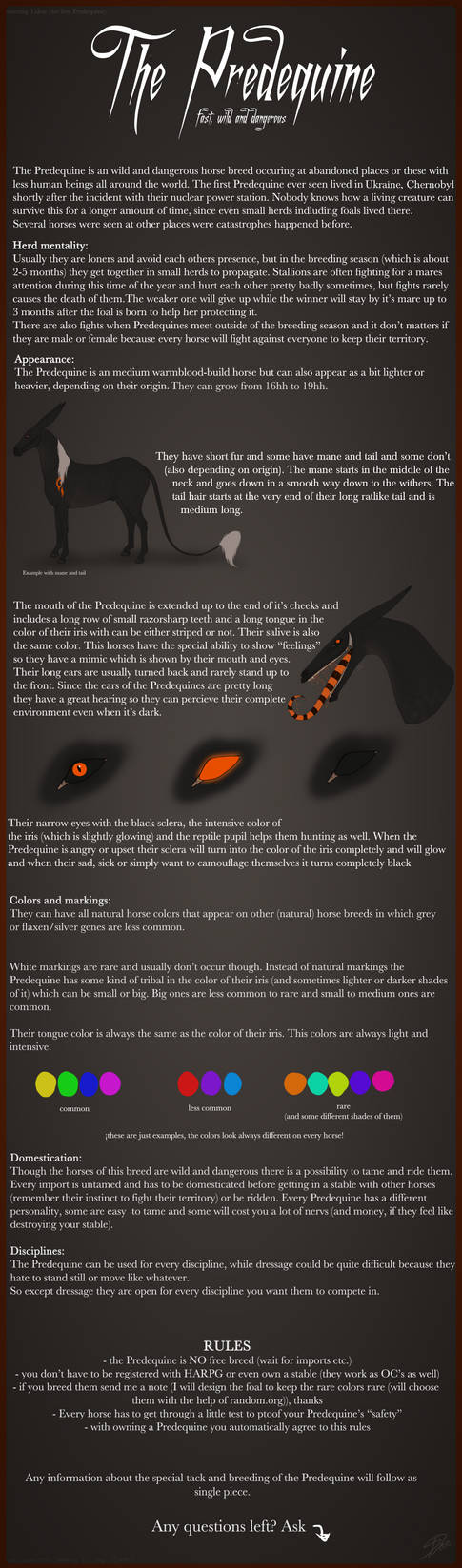 The Predequine - Breedsheet by Saerl