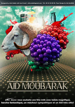 Aid MOUBARAK