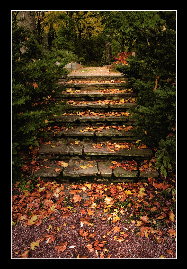 Stairs To Autumn