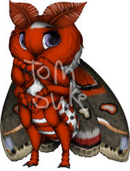 Cecropia moth Furvilla custom