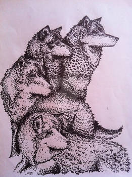 Wolf Pack Pen Drawing