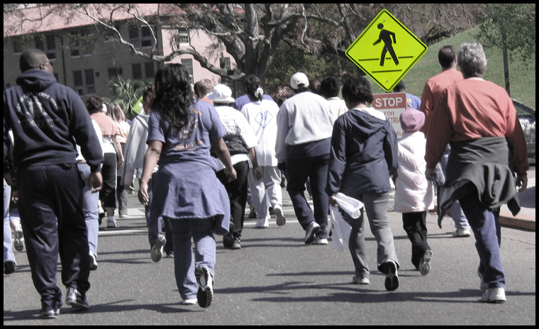 stop for pedestrians