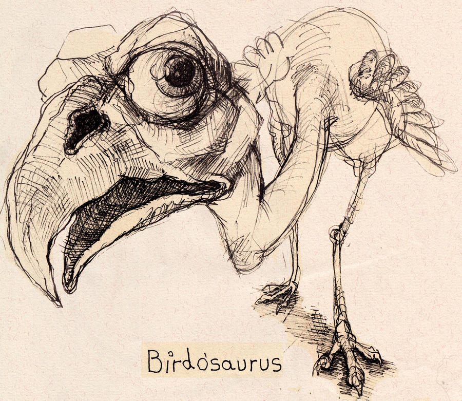 Birdasaurus Birdosaurus by Tajilah on DeviantArt