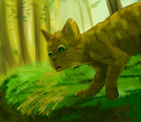 Forest cat