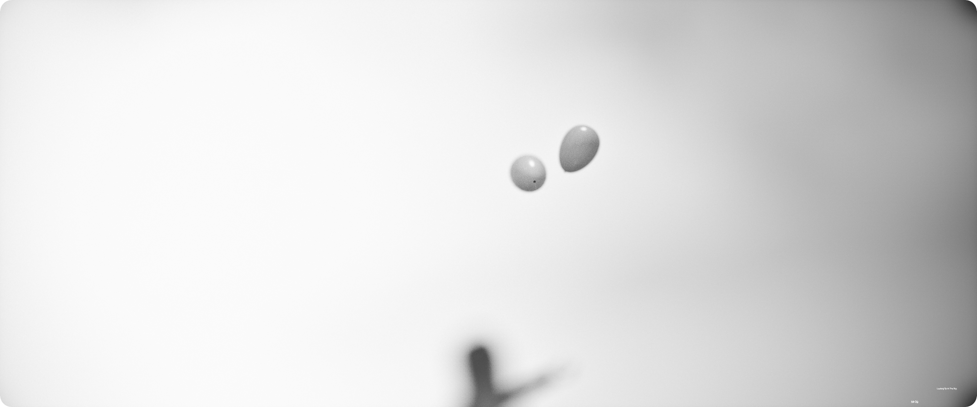 Letting Go of Balloons, No. 04-Grey