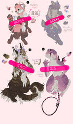 ADOPTS OPEN (3/4)