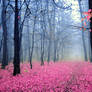 pinky forest