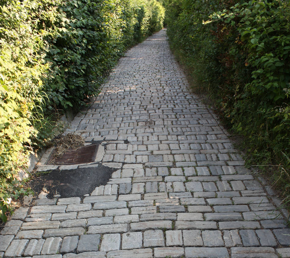 Path less traveled by Phuppet on DeviantArt