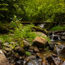 Old Wooden Bridge