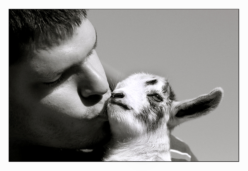 Kissin' a Goat