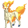 PKMNation - Ponyta Ref Sheet (Forge)