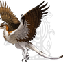 Commission: Feathered Wyvern (Osprey)