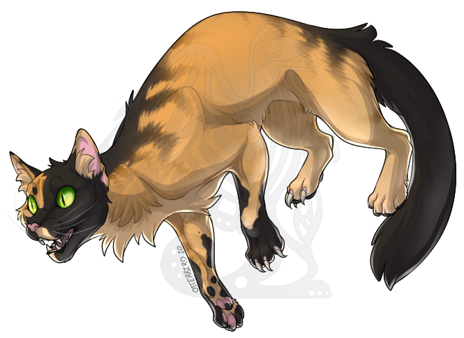 Warrior Cat OC: Spiderpaw of Coalclan