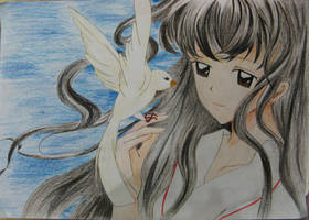 Kikyo - freedom bird wings