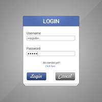 Login Form