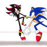 Sonic v.s. Shadow