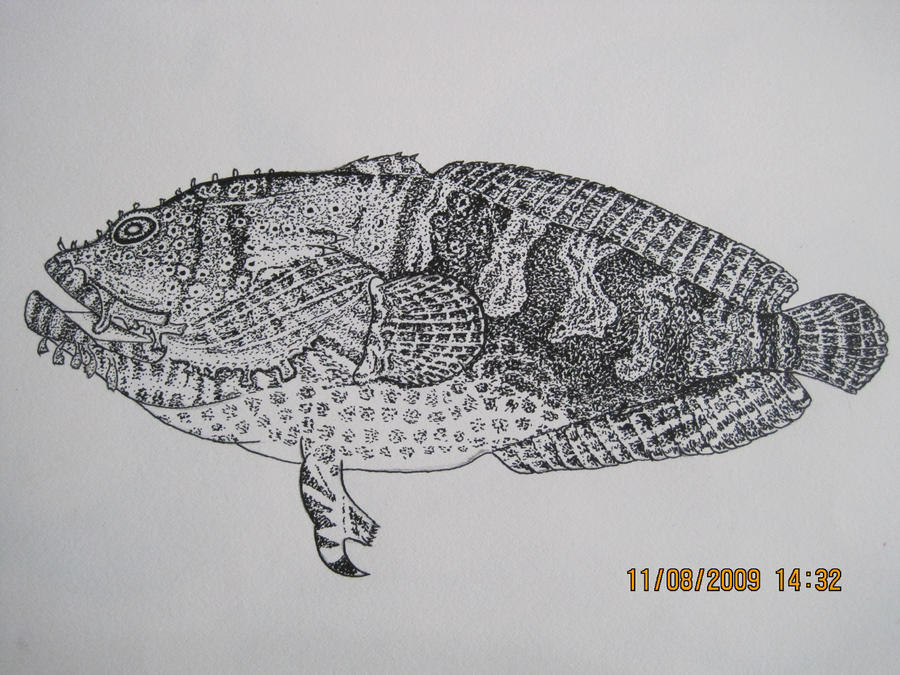 interesting fish pen and ink by marymosc on DeviantArt