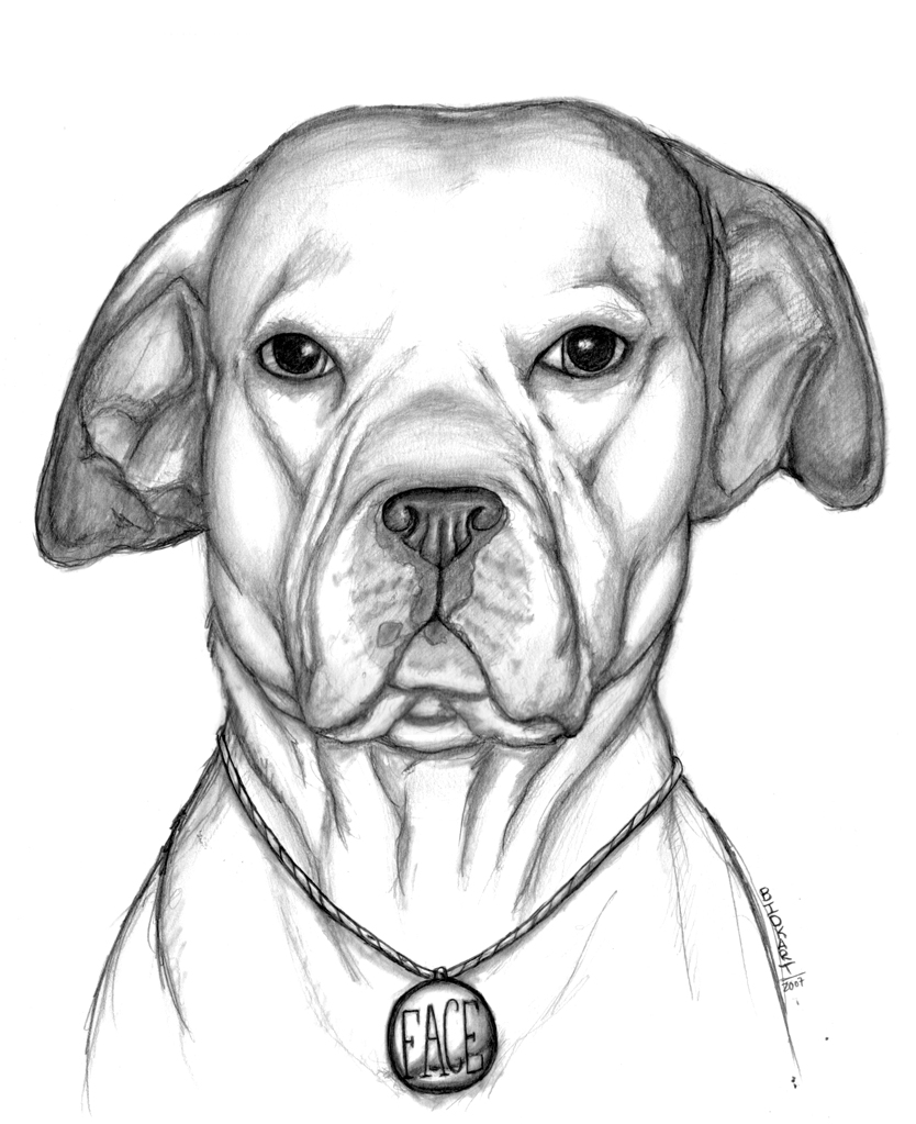 how to draw a mean pitbull