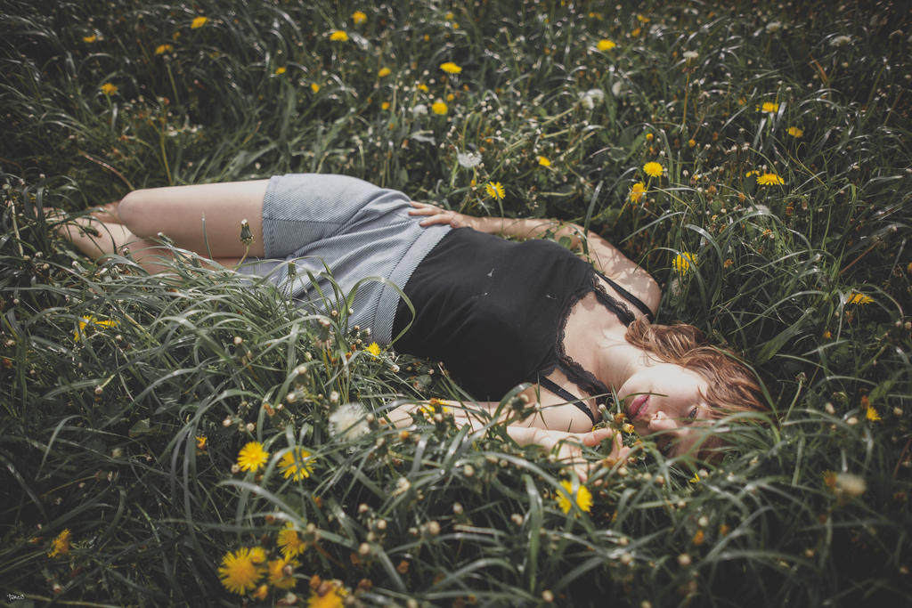 Lara - bed of fieldLowers