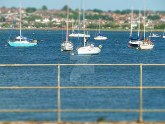 Boats on the Exe