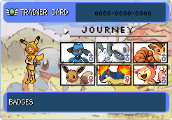 Explorers of Sky Trainer Card